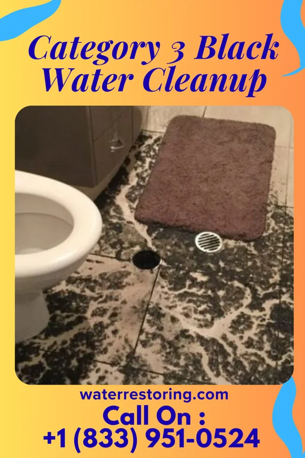 Category 3 Black Water Cleanup in Petrolia, PA