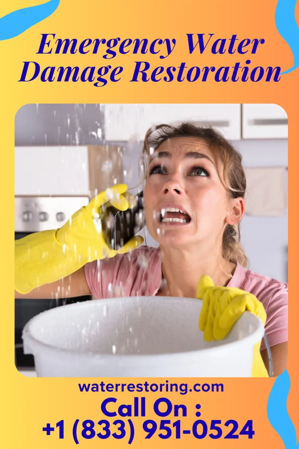 Emergency Water Damage Restoration in Petrolia, PA