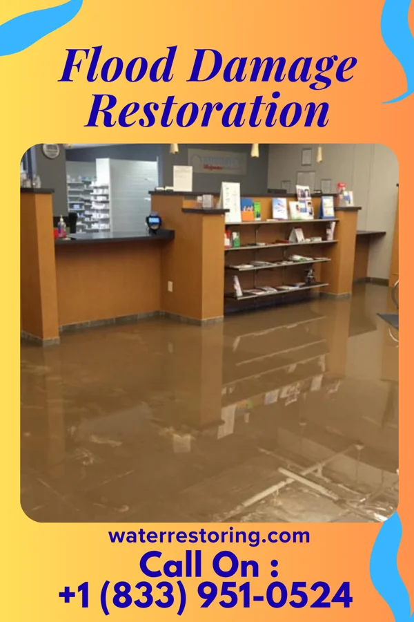 Flood Damage Restoration in Petrolia, PA