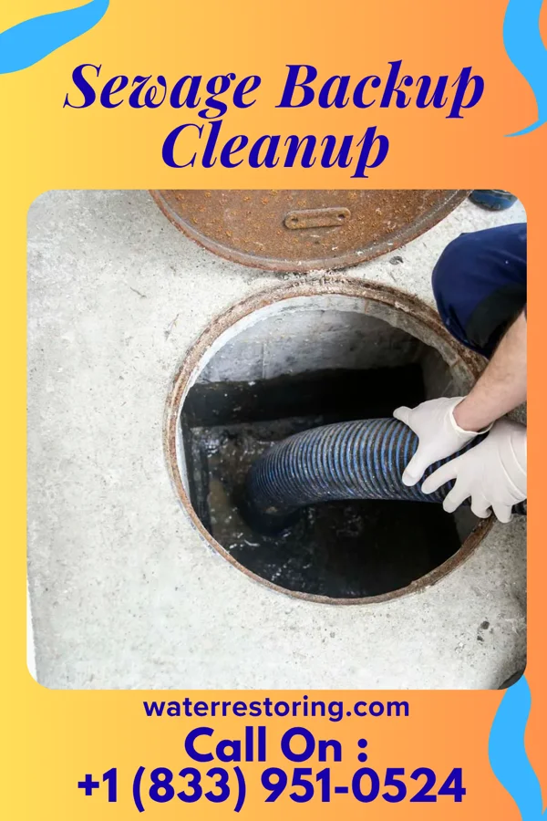Sewage Backup Cleanup in Petrolia, PA