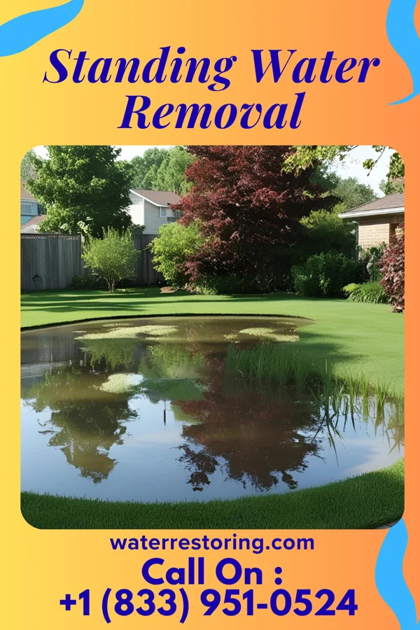 Standing Water Removal in Petrolia, PA